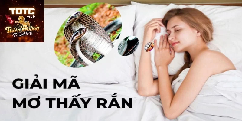 Cách giải mã giấc mơ thấy rắn