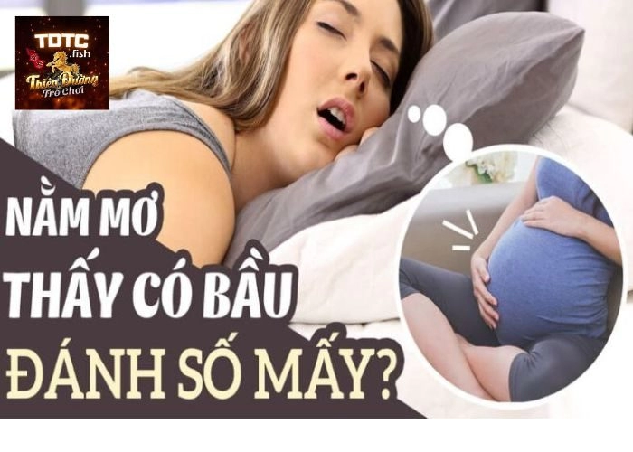 Mơ thấy mình có bầu thì nên đánh số mấy để thắng lớn?