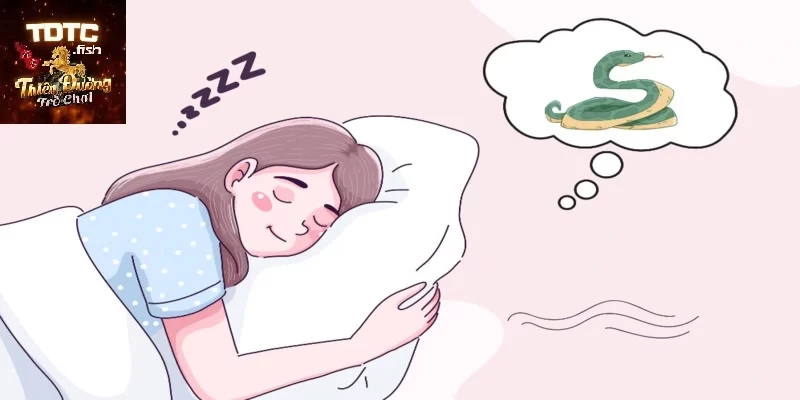 Ý nghĩa việc nằm mơ thấy rắn nên đánh số gì